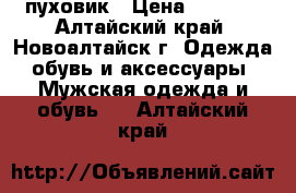 пуховик › Цена ­ 2 500 - Алтайский край, Новоалтайск г. Одежда, обувь и аксессуары » Мужская одежда и обувь   . Алтайский край